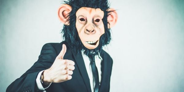 ¿Por qué VPN con Netflix sobre otras herramientas?