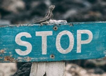 Países donde el uso de la red privada virtual es ilegal