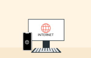Understanding the internet