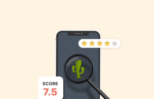 CactusVPN extensive review 2021 – Generally good but has a few drawbacks
