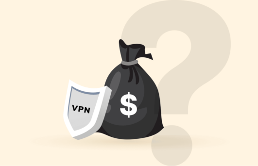 VPN cost