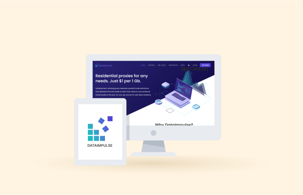 DataImpulse background